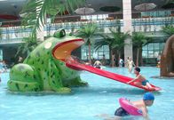Frog Water Slide Kids Water Playground Sprzęt do basenu