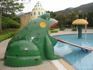 Frog Water Slide Kids Water Playground Sprzęt do basenu