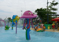 Letni Park Rozrywki Basen Ośmiornice Spray Aqua Park Sprzęt Z Włókna Szklanego
